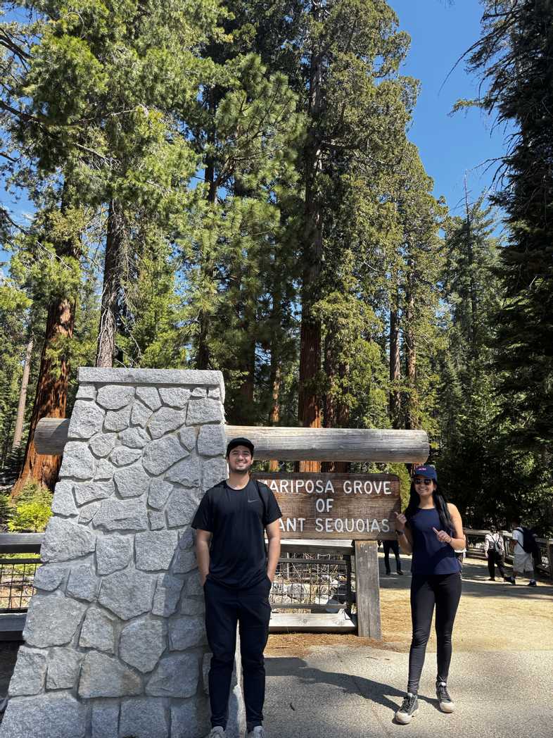 Mariposa Grove of Giant Sequoias