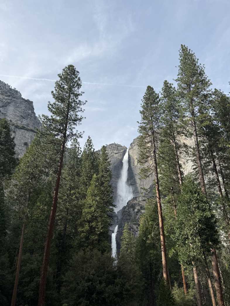 Lower Yosemite Falls